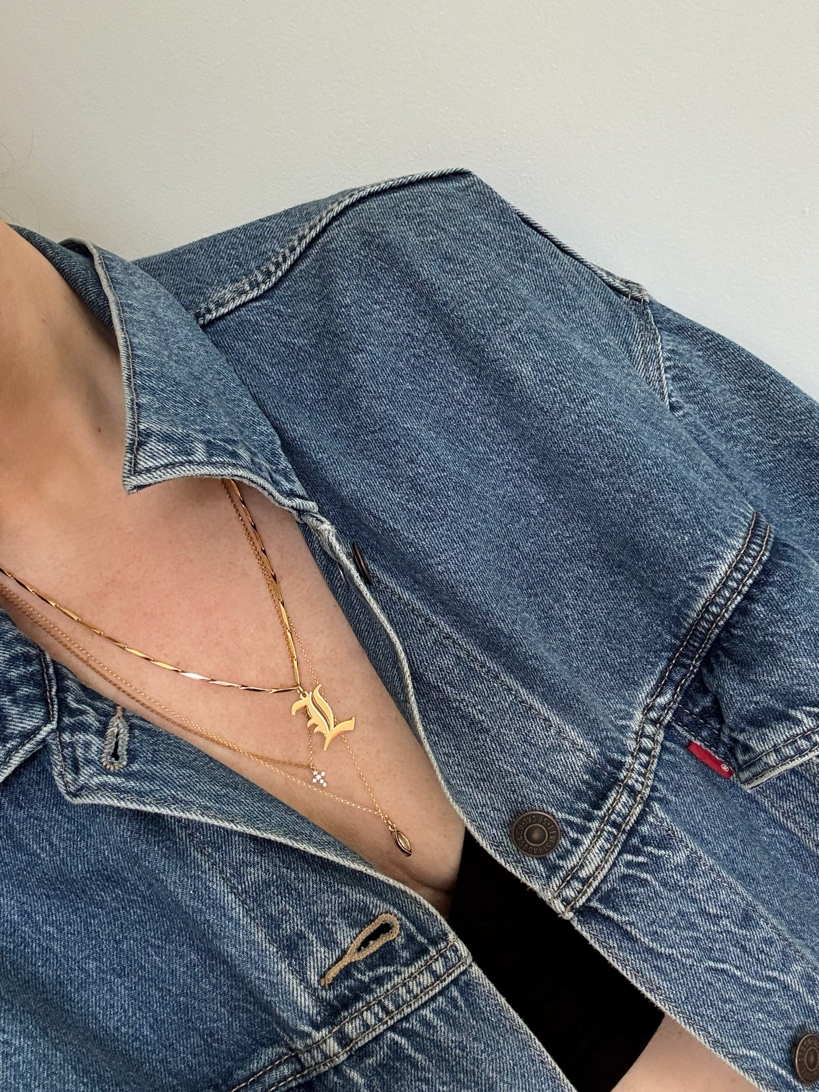 CRYSTAL FLOSS NECKLACES (14K GOLD FILLED) - Image 6